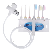 Oral Irrigator SPA Water Jet Dental Flosser Teeth Care Toothbrush Set