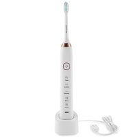 SARMOCARE S100 Sonic Electric Toothbrush Ultimate Cleaning Whitening Advanced Safeguards Oral Health Care Cleaning Tools