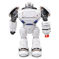  R1 Defenders Infrared Control Robot RTR Programmable Movement / Missile Shooting / Sliding Walking Dancing Mode
