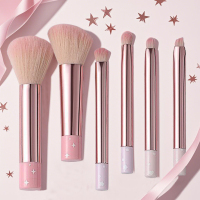 妆刷套装 - 软质聚酯纤维刷毛，打造完美妆容，无致敏性刷毛，适用于所有肤质