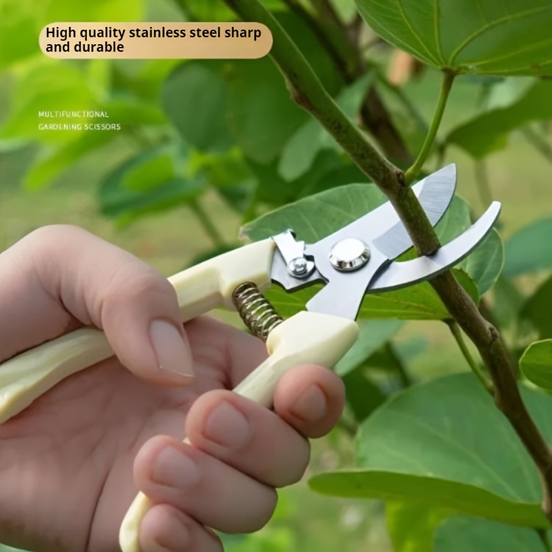 1762911542767034.jpg 2.jpg