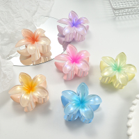 6pcs彩色珠光鸡蛋花发夹花朵抓夹复古女士侧抓半抓后脑勺鲨鱼夹