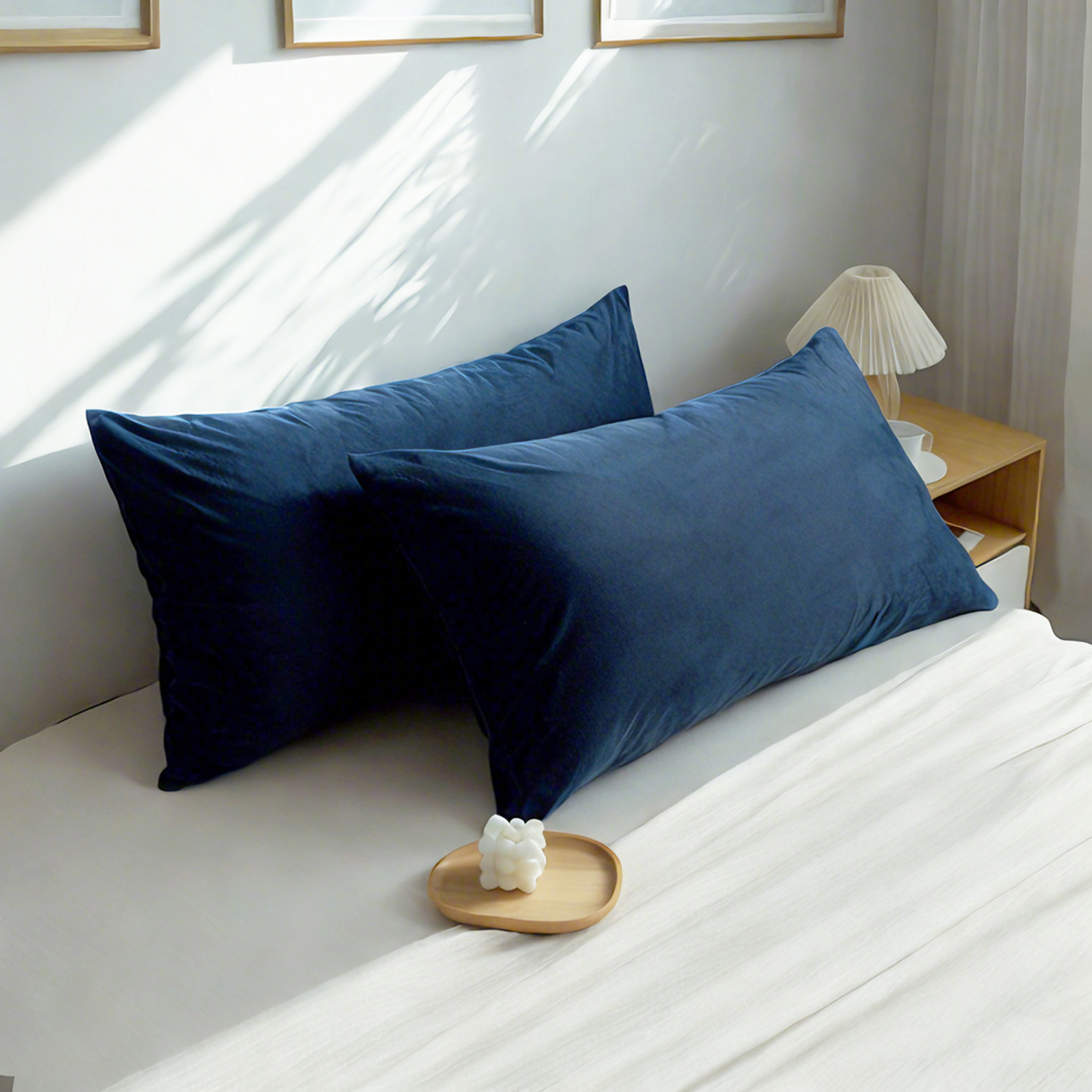 2个天鹅绒枕套，奢华柔软舒适枕套，带拉链封口