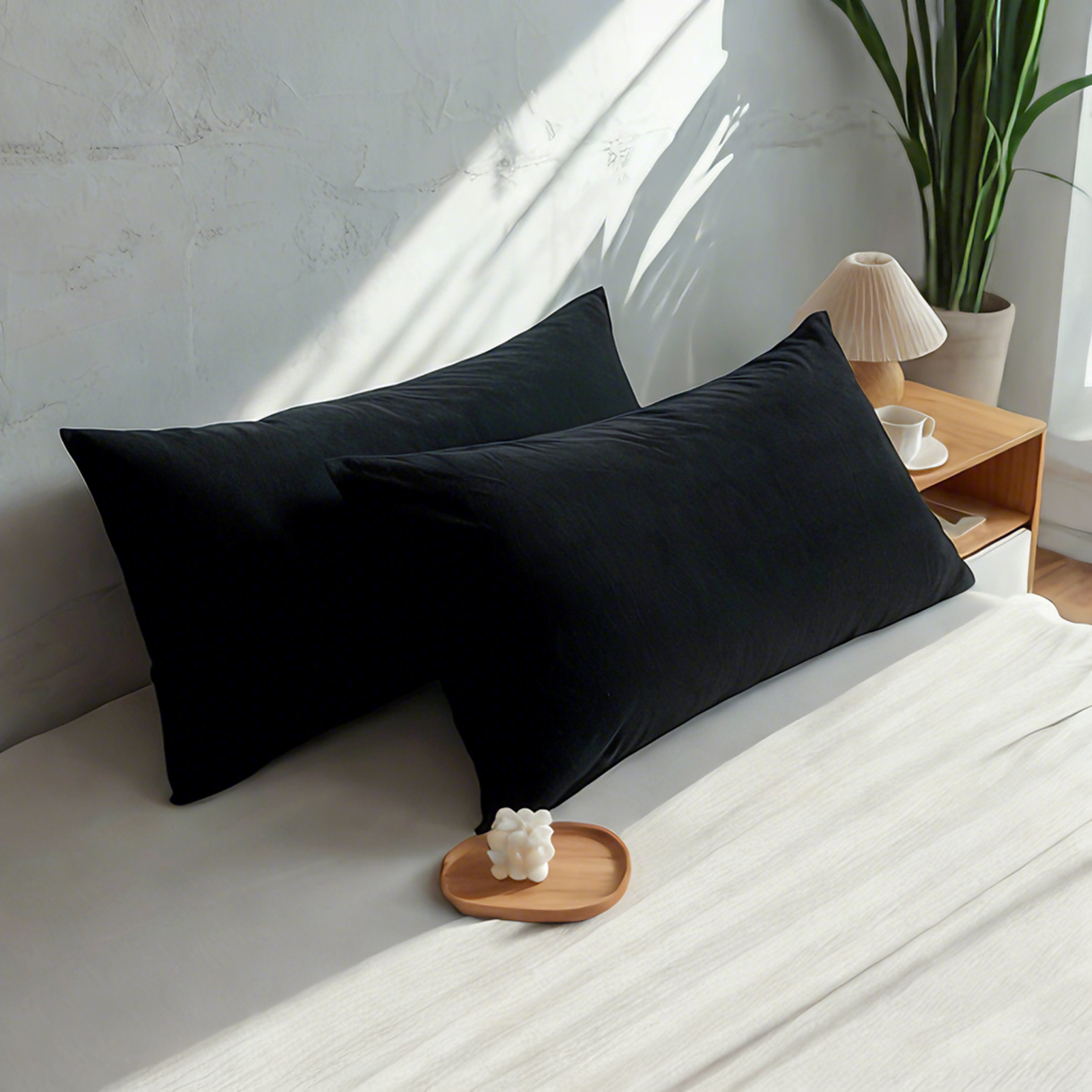 2个天鹅绒枕套，奢华柔软舒适枕套，带拉链封口