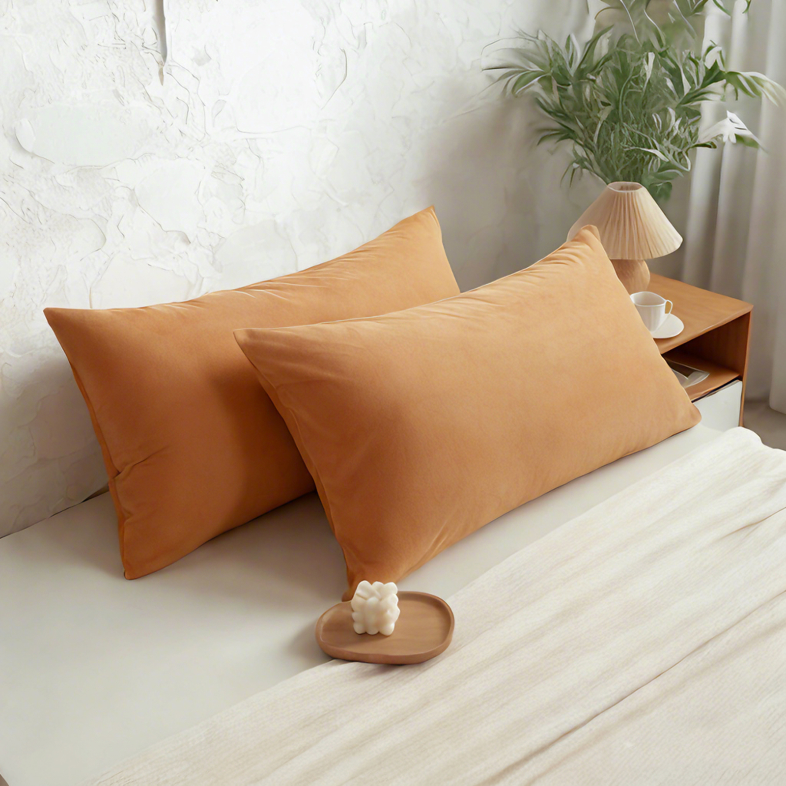 2个天鹅绒枕套，奢华柔软舒适枕套，带拉链封口