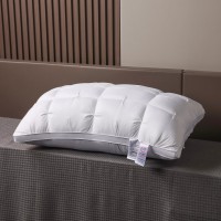 NHZ-WHITE NHZ-GREY 白色灰色高级柔软豪华床枕 - 女王尺寸的低过敏聚酯盖 - 设计适合背部、腹部或侧睡者，深度睡眠，颈椎保护