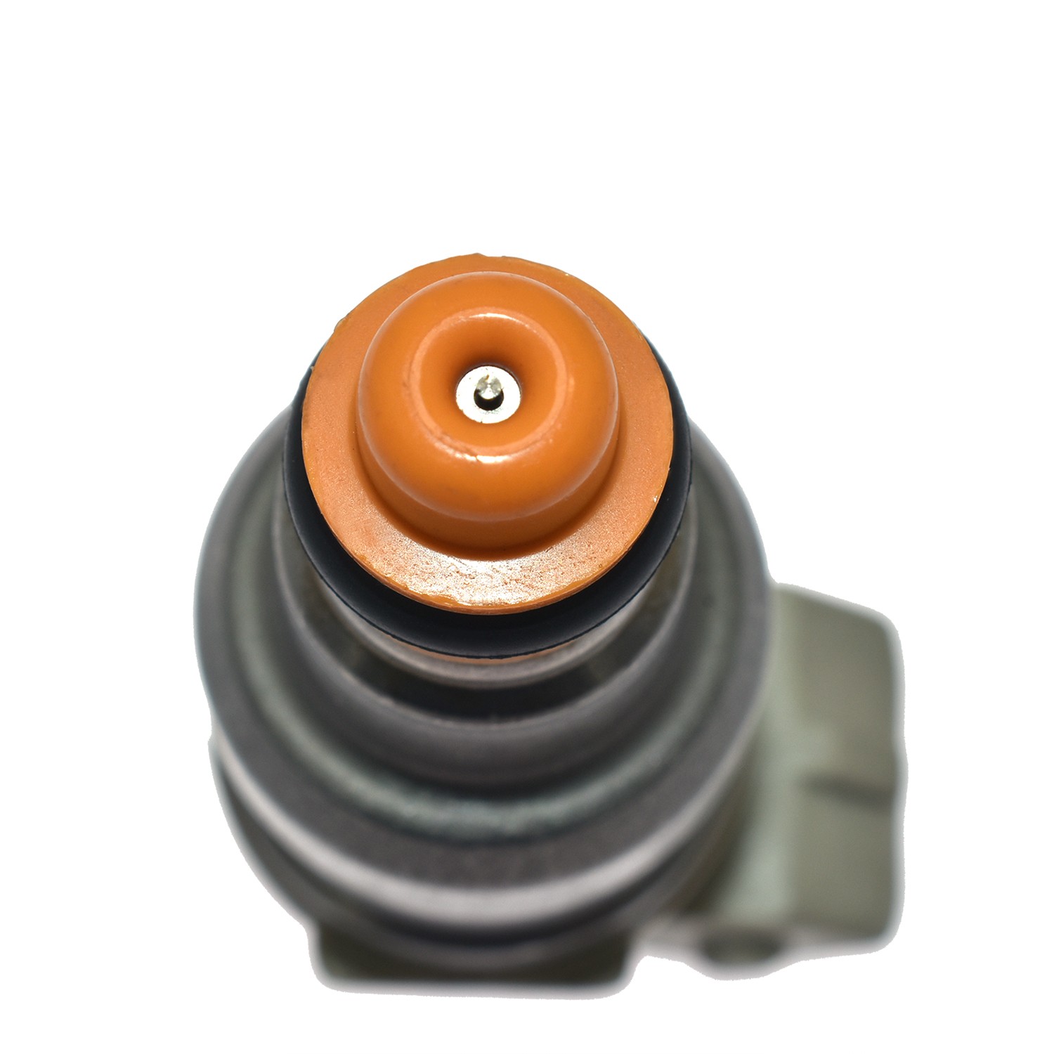1646032273762308.jpg