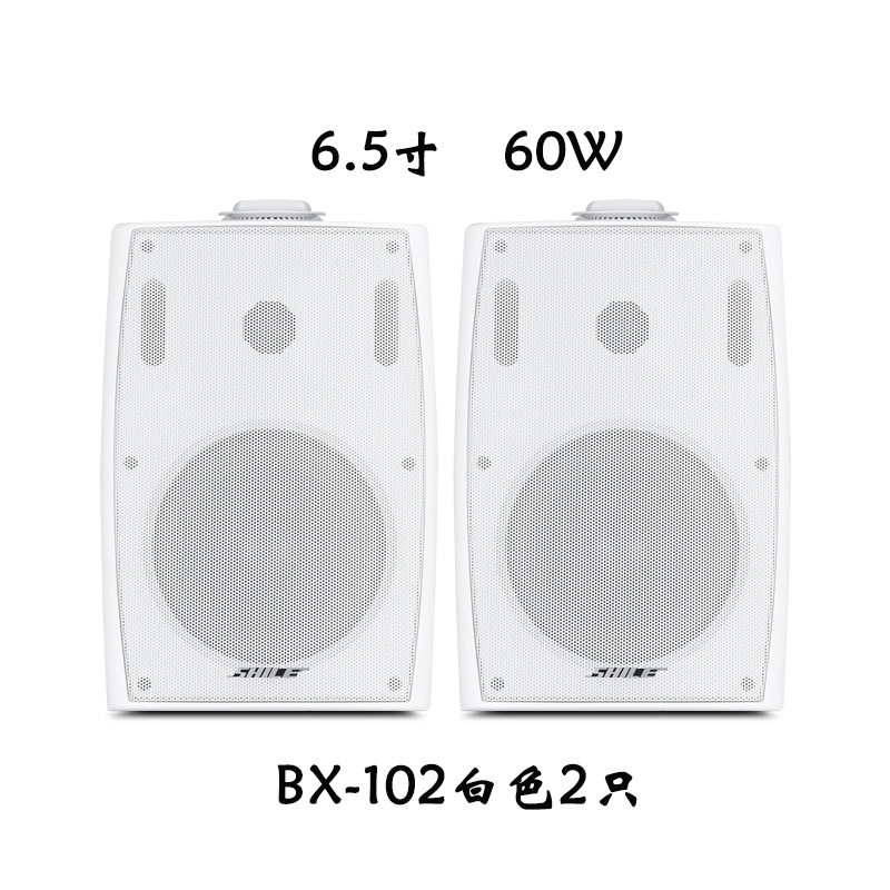 HIFI室内家用高保真音箱BX102/5 家庭影院背景音乐壁挂式会议音响