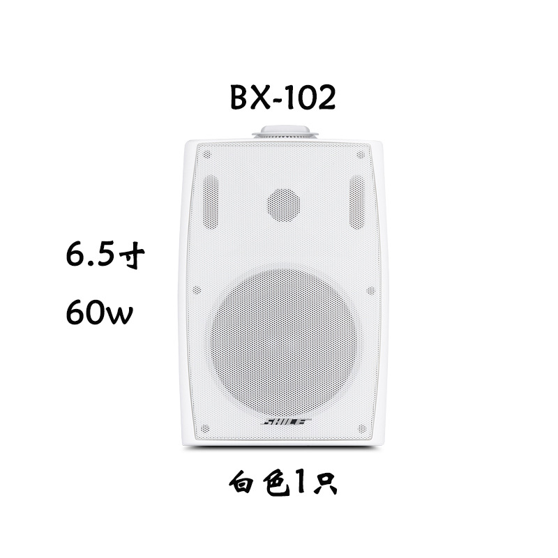HIFI室内家用高保真音箱BX102/5 家庭影院背景音乐壁挂式会议音响