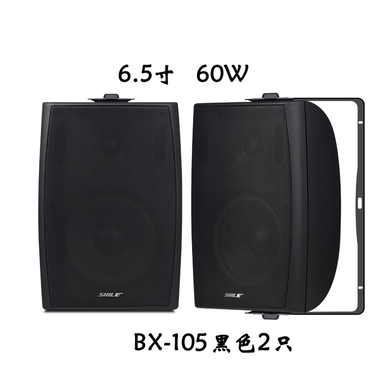 HIFI indoor home high fidelity speaker BX102/5 home theater background music wall mounted conference sound system