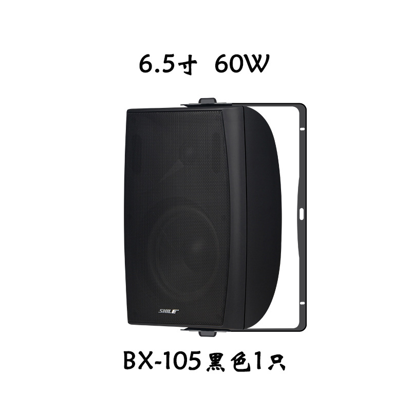 HIFI室内家用高保真音箱BX102/5 家庭影院背景音乐壁挂式会议音响