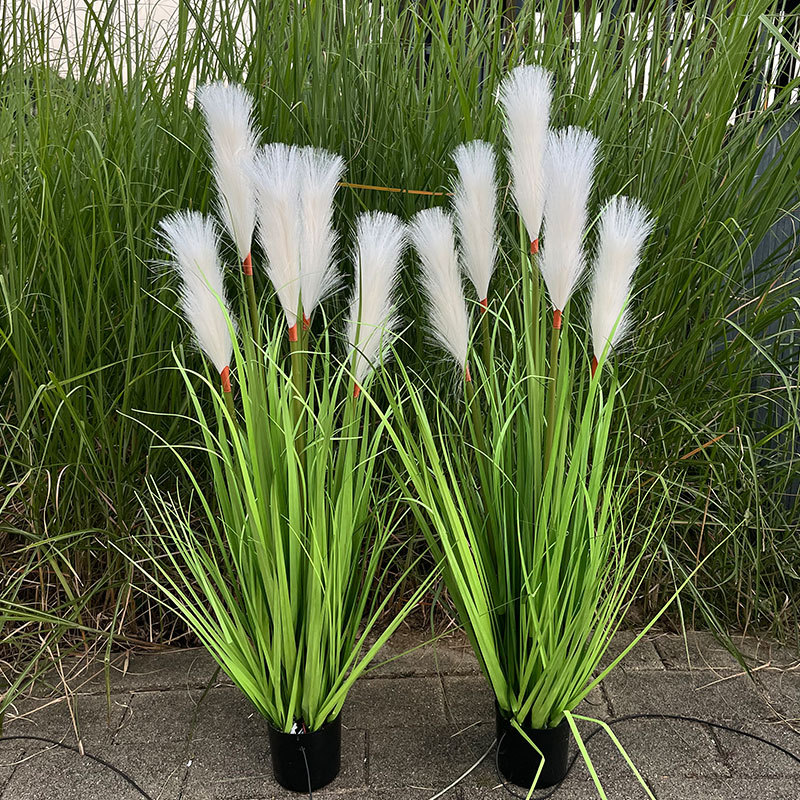 新款仿真光纤芦苇灯 户外led芦苇景观灯广场亮化景区装饰灯地插灯