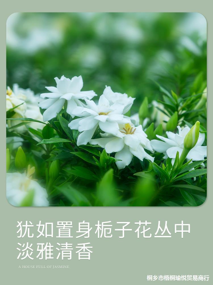 栀子花车载无火香薰汽车内饰品熏香淡香水香氛摆件车用高档高级女