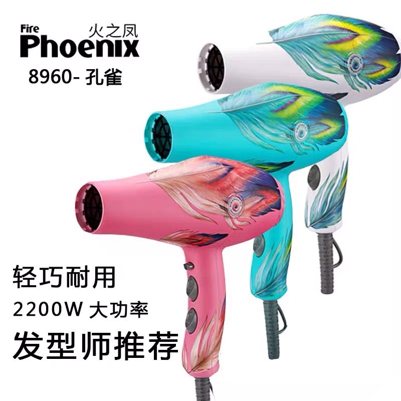 火之凤8960电吹风机发廊专用大功率理发店家用大风力吹风筒批发