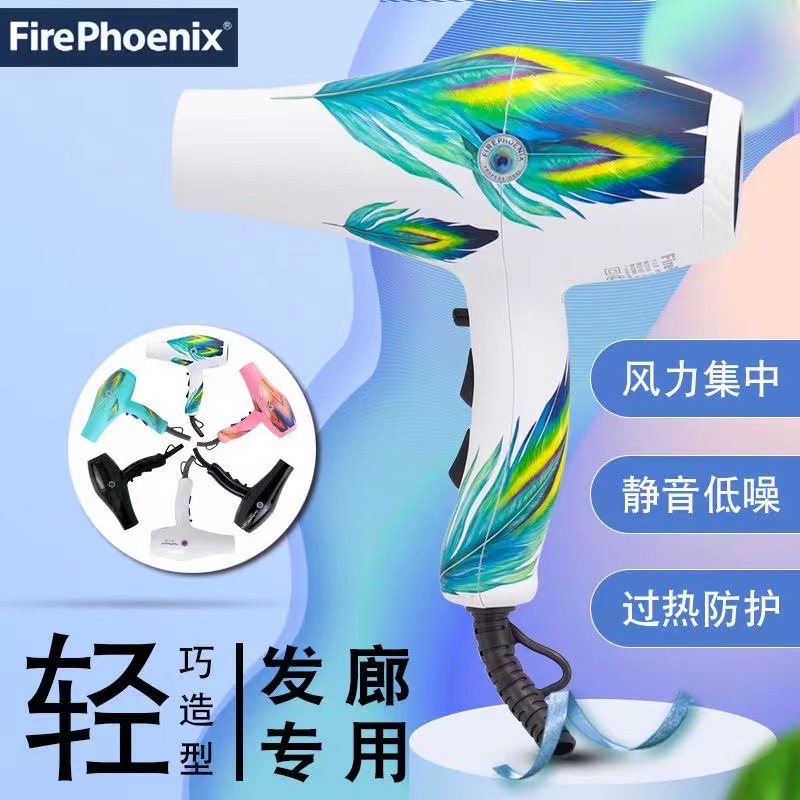 火之凤8960电吹风机发廊专用大功率理发店家用大风力吹风筒批发