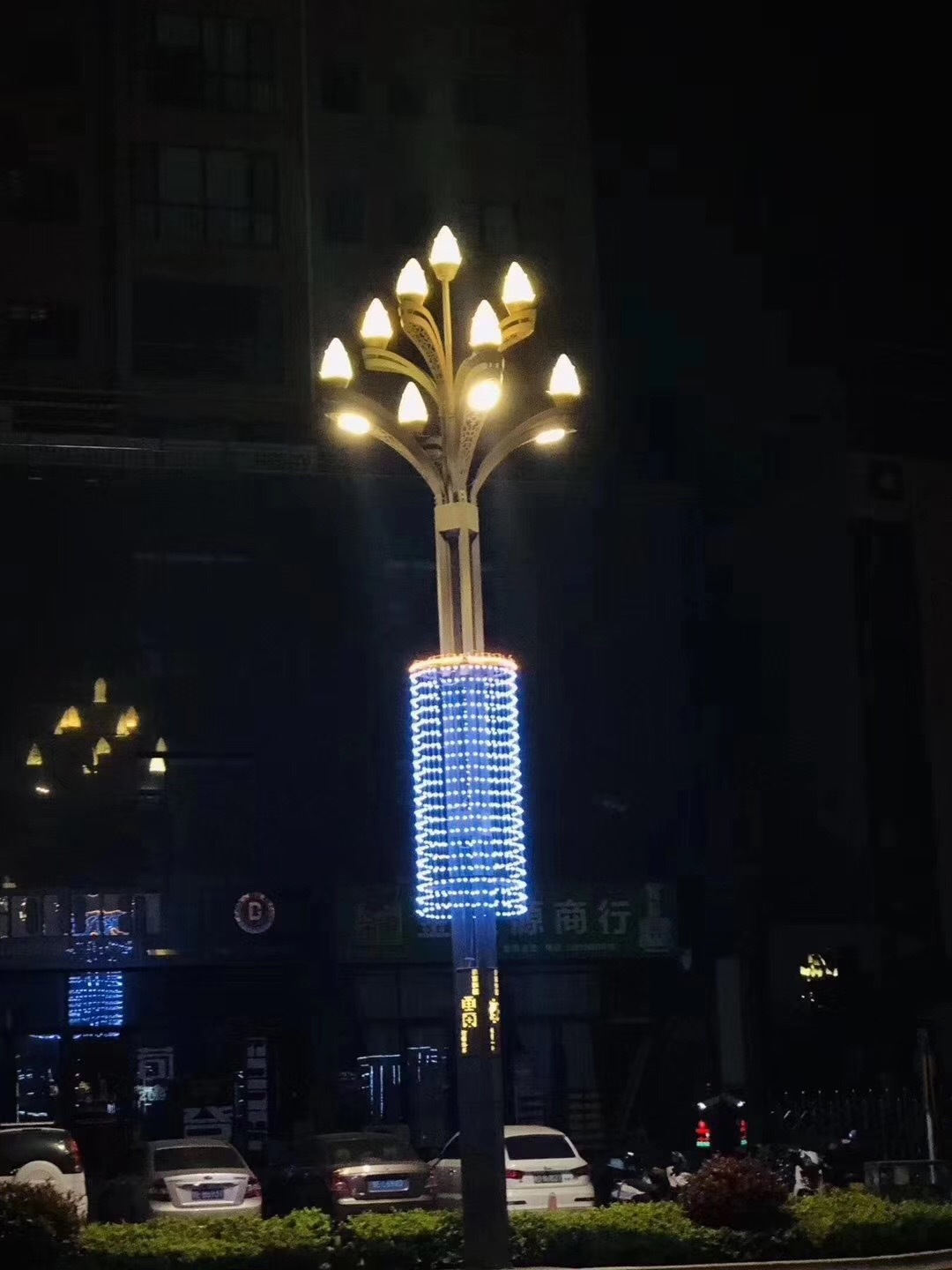 厂家直供景观灯民族风大型路灯灯户外广场灯园林中式仿古景观灯柱