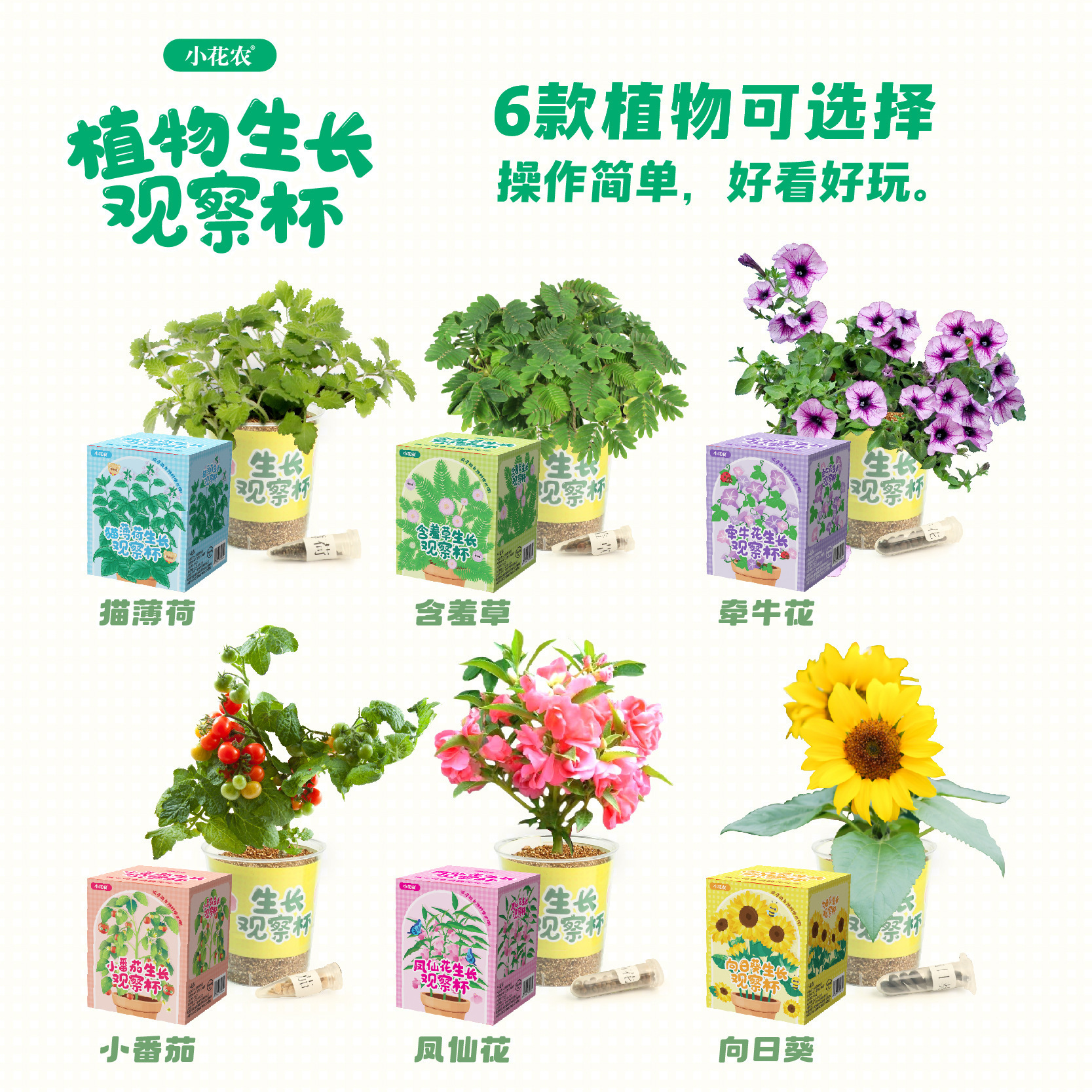 小花农匹诺植物成长观察盒儿童种植蔬果蔬菜科学实验套装益智玩具