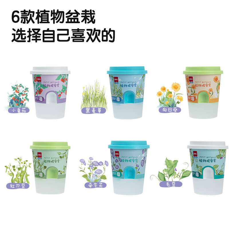 得力74388植物栽培套装 儿童兴趣耐心培养玩具亲子互动附视频教程