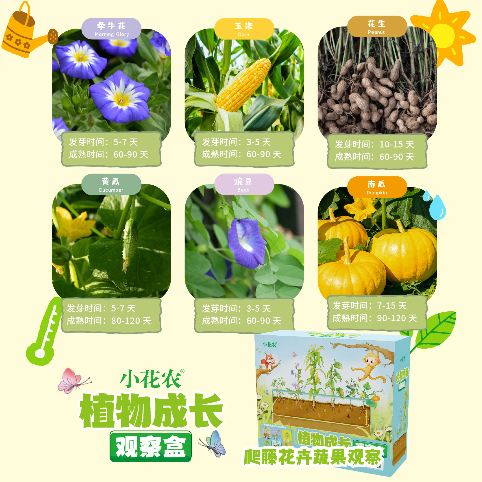 小花农匹诺植物成长观察盒儿童种植蔬果蔬菜科学实验套装益智玩具