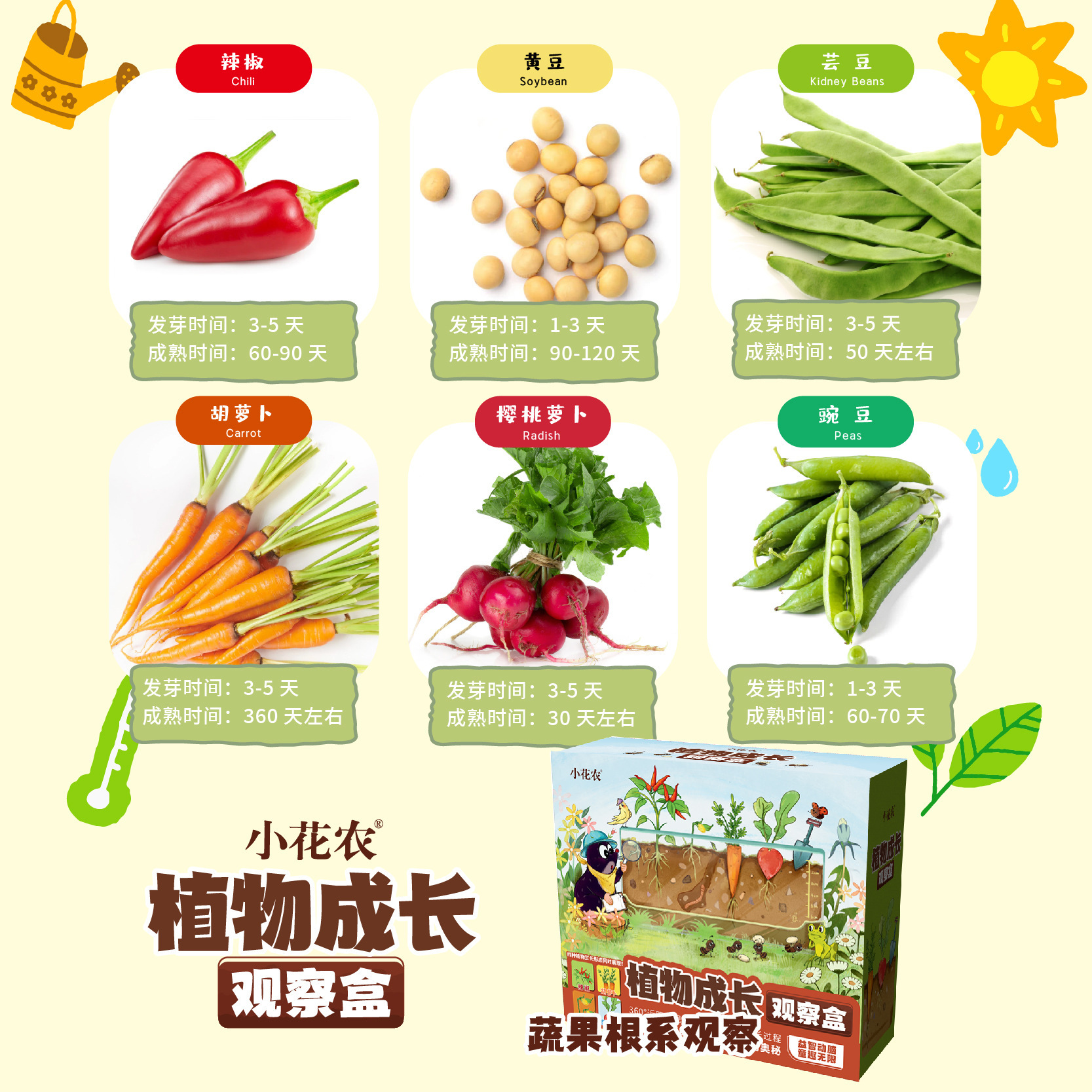 Small Flower Farmer Pinot Plant Growth Observation Box Children's Planting Vegetables, Fruits, and Vegetables Science Experiment Set Puzzle Toys