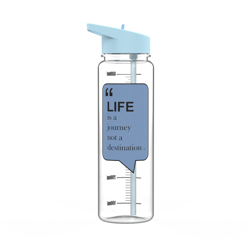 720ml跨境爆款运动吸管水杯独角兽火烈鸟小马杯户外水杯印刷现货