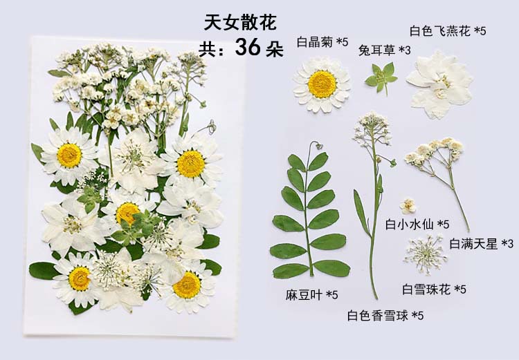 跨境爆款干花压花材料包永生花DIY手工干花相框笔记本手机壳滴胶