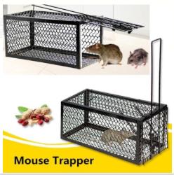 mouse trap