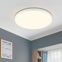 三防吸顶灯白/黑色21cm