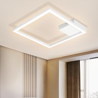 1头白/黑色PC罩方框吸顶灯