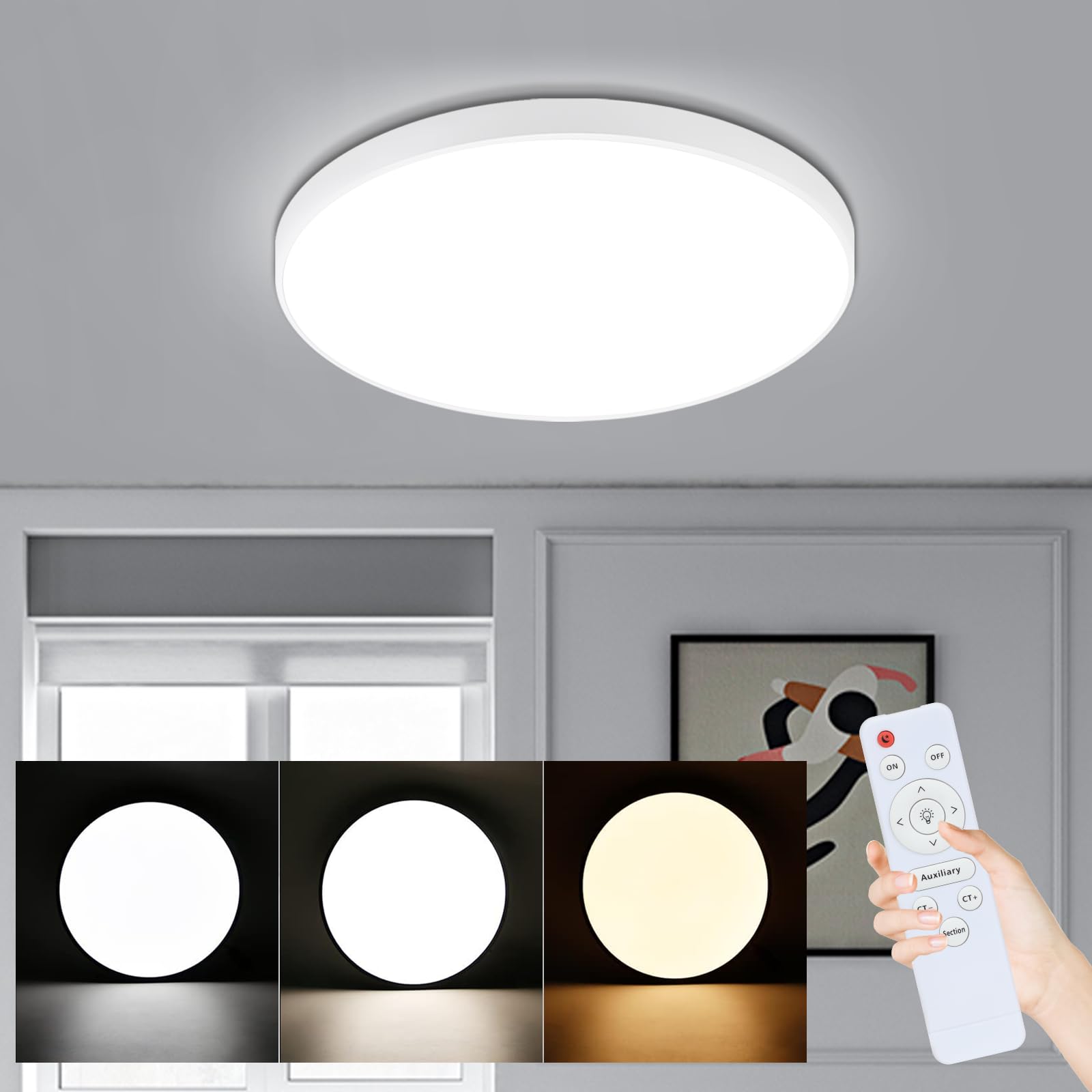 三防吸顶灯白/黑色调光