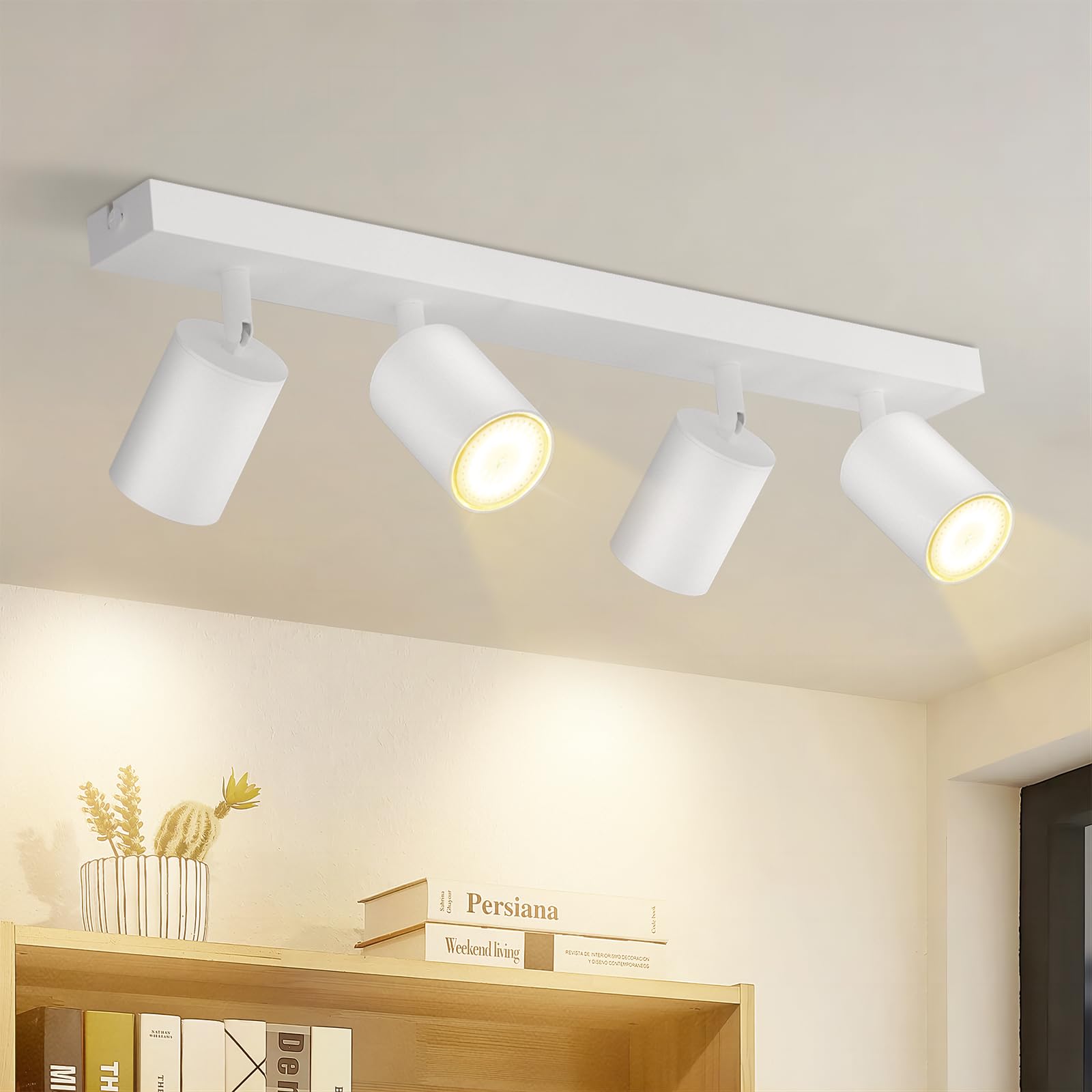 沙白/沙黑方盘射灯2号2头/4头/6头