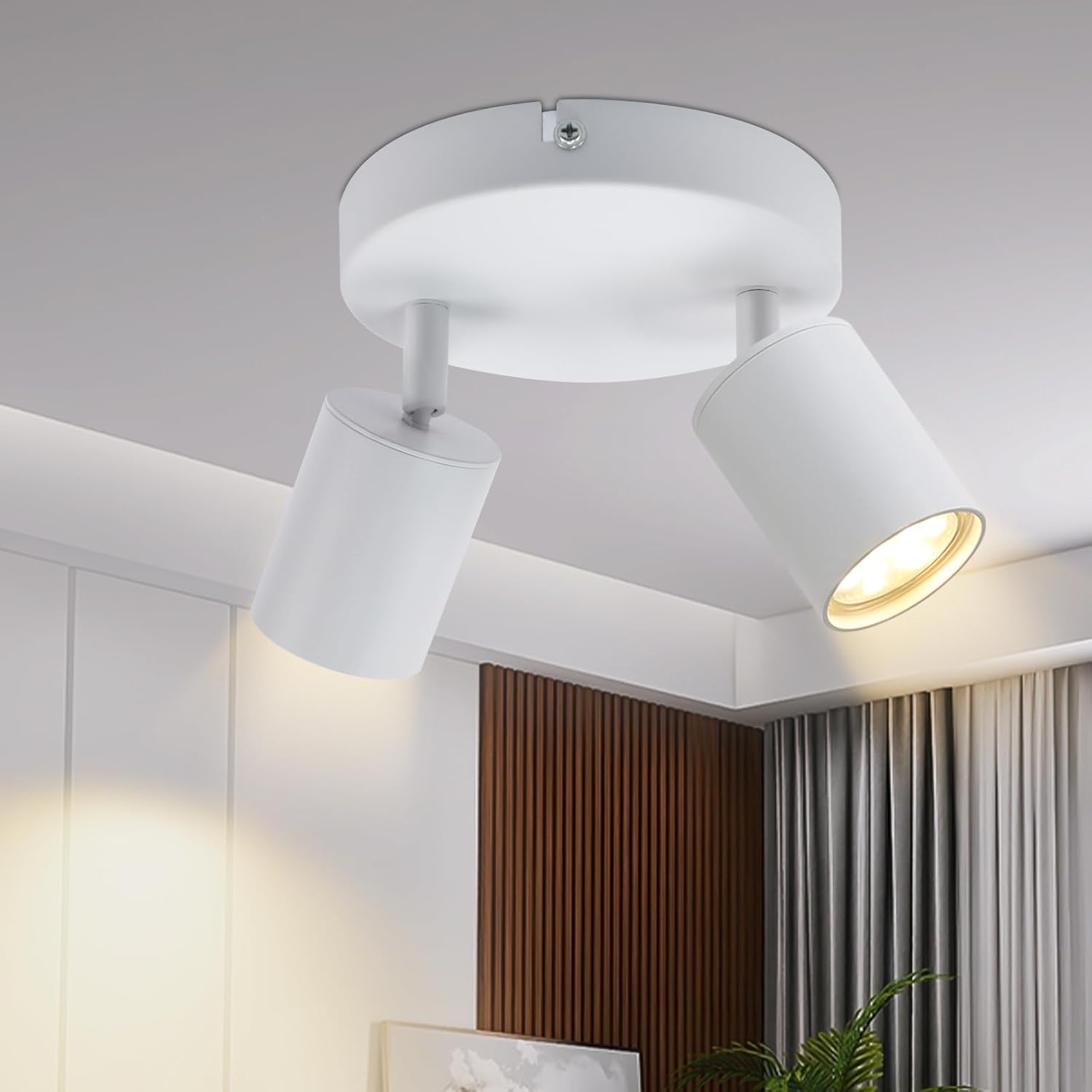 白/黑色射灯圆盘2头