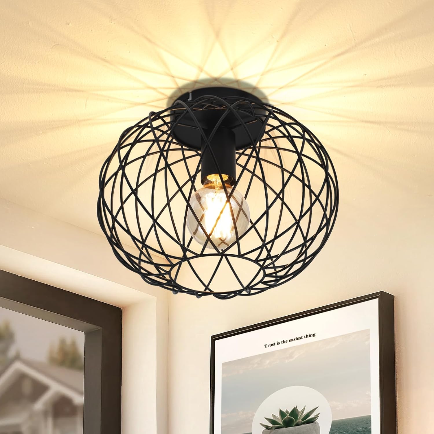 1头圆盘黑色鸟巢吸顶灯