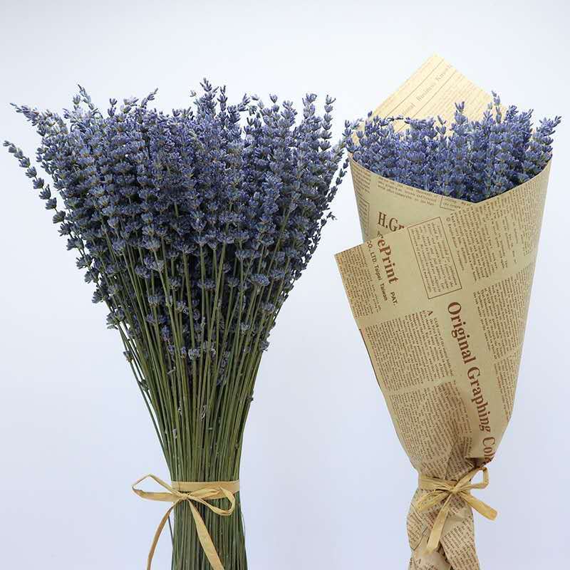 Natural Dried Lavender Bouquets from Yili Xinjiang | New Year Decor Aromatherapy Sachet Bundles | Home Decor Ornaments | Wholesale Dried Lavender Buds, Lavender Sticks & Sage Sticks