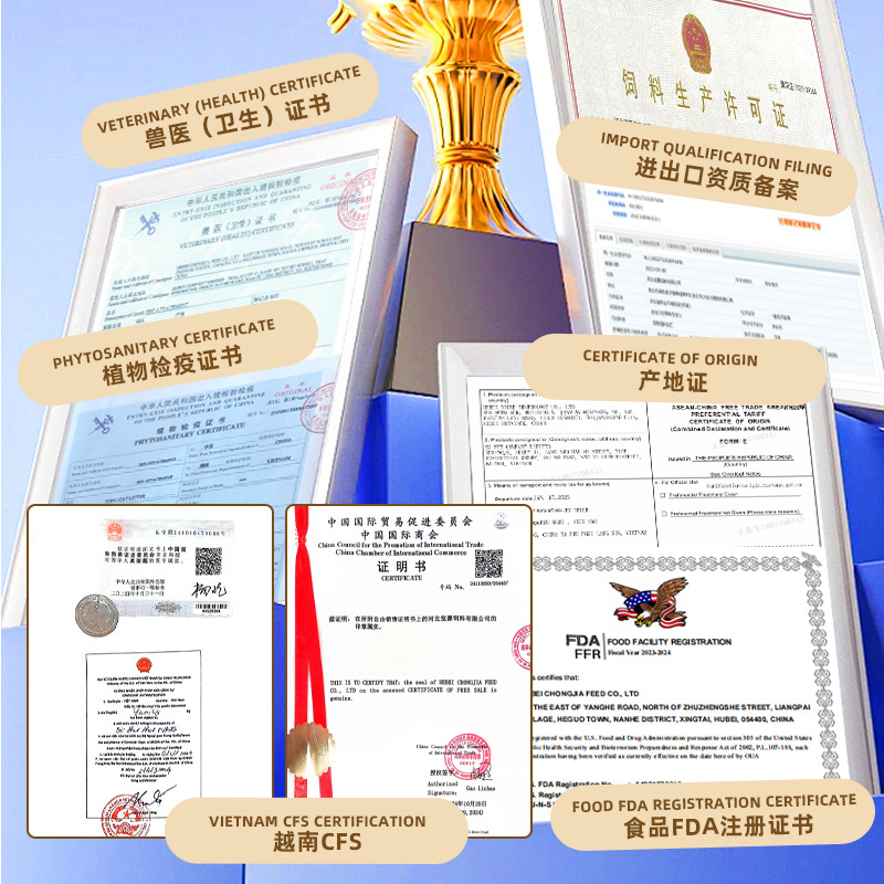 1772001222840186.png f832e6a032e6ac4acf9974291b6ae7b8.png
