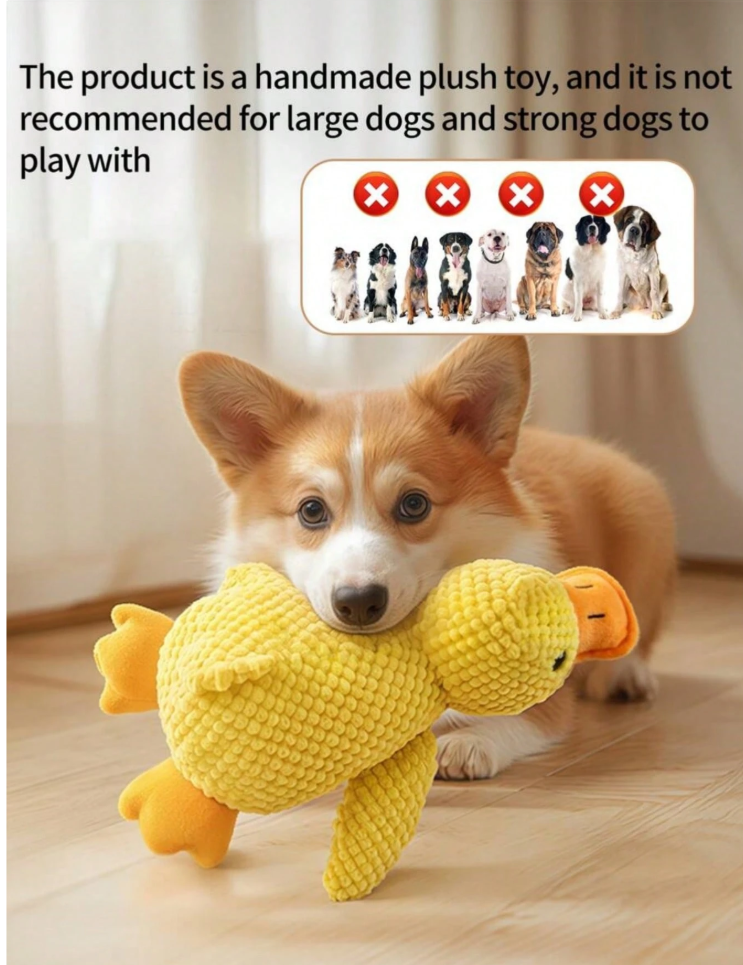 1773815405378904.png