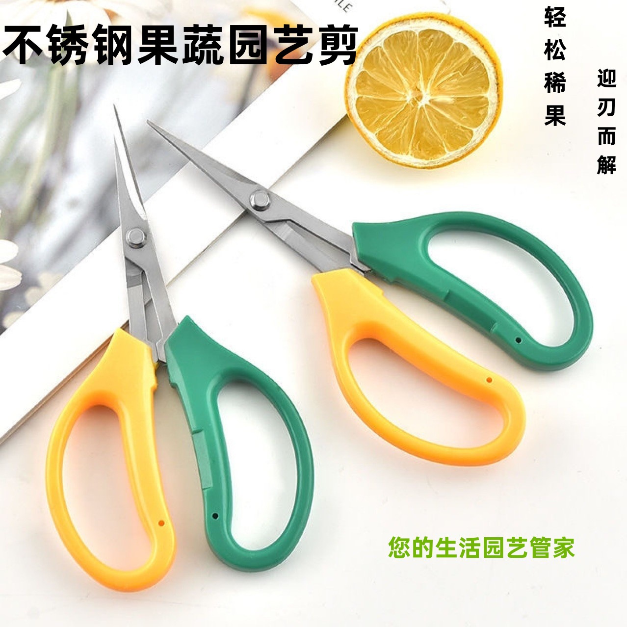 果疏园艺修剪不锈钢直翘头蔬果剪葡萄专业修果剪农帮手葡萄剪盆栽