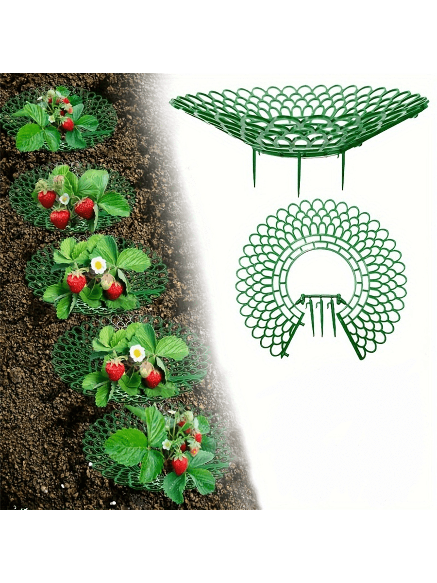 家庭保护草莓苗种植架太阳花架盆栽防腐烂果实支撑防护托盘支架子