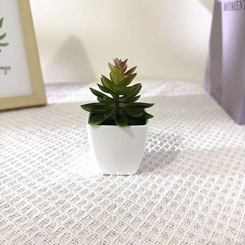新款仿真多肉方盆小盆栽家居装饰人造绿植花婚庆摆件龟背植物装饰