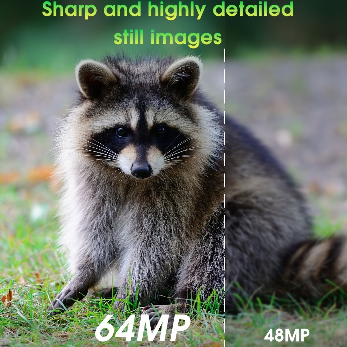 1784532910847272.png 569e10482de08e386efb1074ff109e14.png