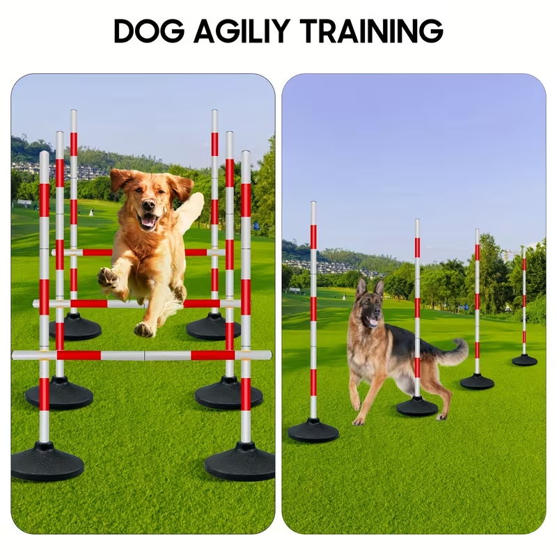 d483846aa8b69dfcd3652a0f2f8ba012.png