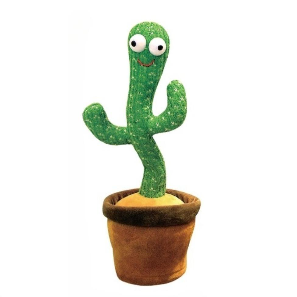 音乐仙人掌 CACTUS BALLERINO