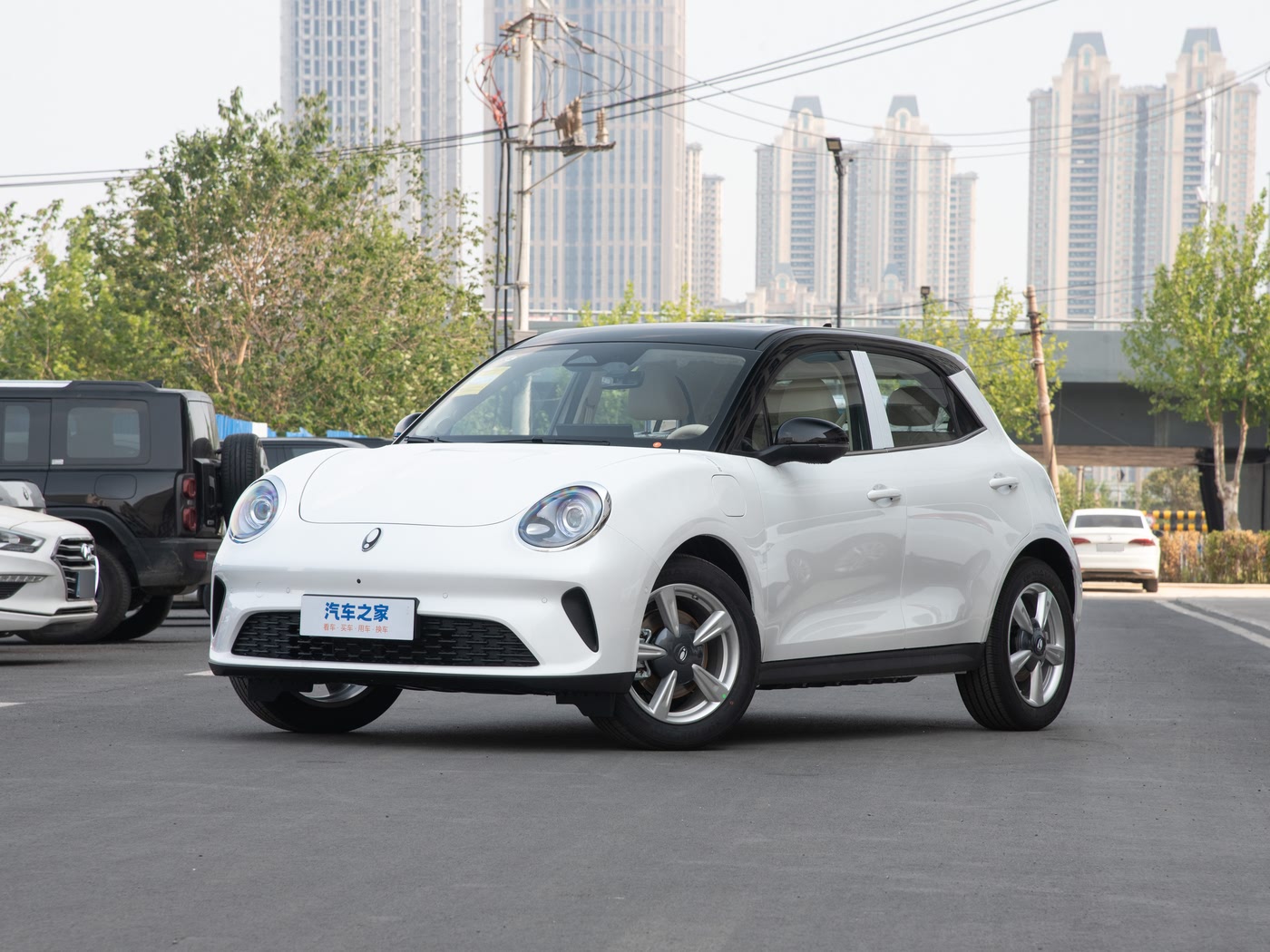 欧拉好猫 2025款 纯电动 430km尊荣型 FOB宁波，最小起订量：3-4 件（一个40 英尺高柜集装箱）（可混合包装），新车