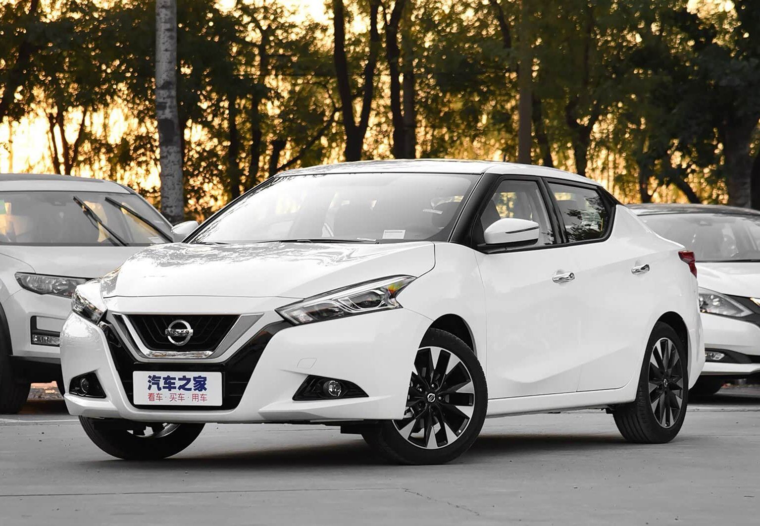 蓝鸟 2019款 1.6L CVT智联智酷版 国V 汽油 FOB宁波，最小起订量：3-4 件（一个40 英尺高柜集装箱）（可混合包装），二手车