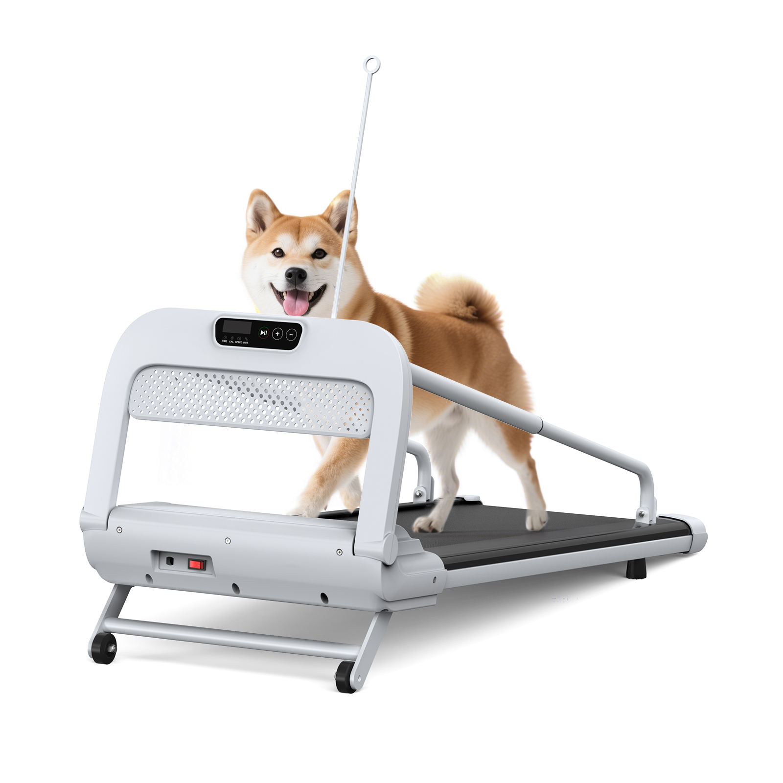 宠物跑步机